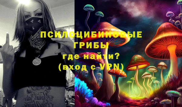 ГАЛЛЮЦИНОГЕННЫЕ ГРИБЫ Алексин