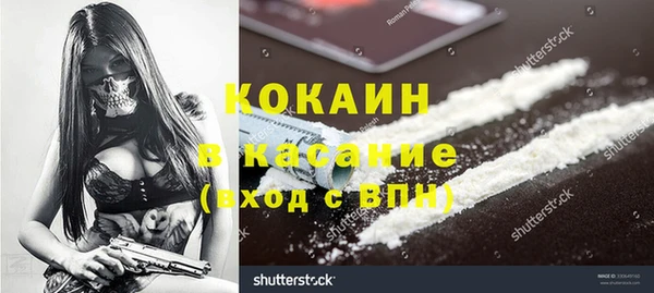 дживик Няндома