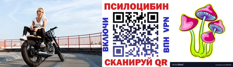 Галлюциногенные грибы Psilocybe  Ликино-Дулёво 